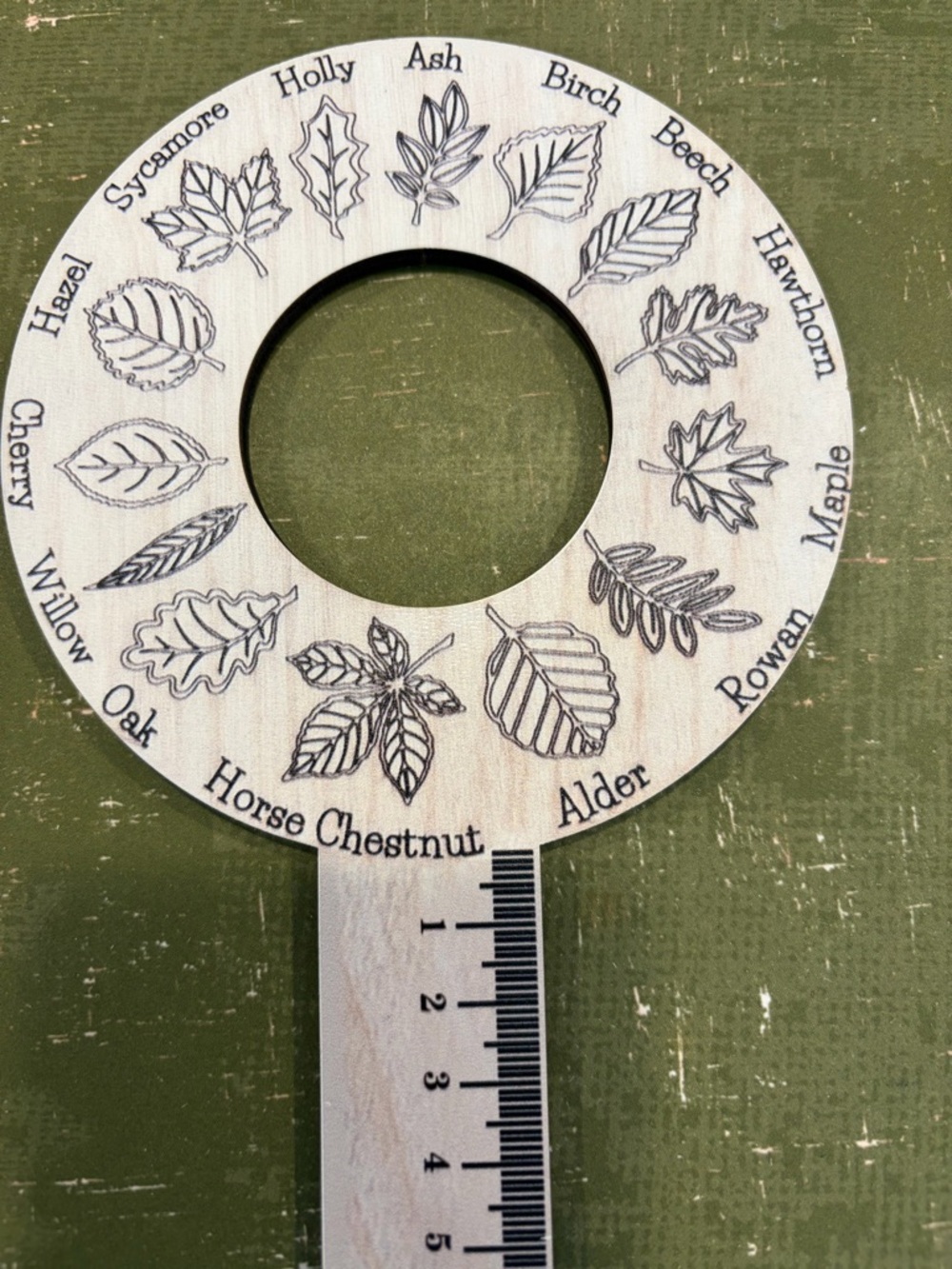 Wooden Leaf Identifier Wheel - Natural Wood